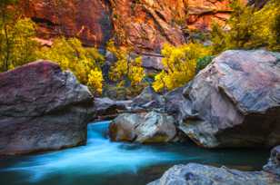 Zion Canyon, Fall-4539